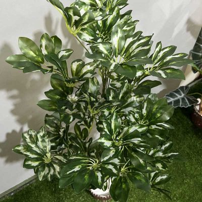 خرید درختچه مصنوعی شفلرا ابلق کدIRPSC212