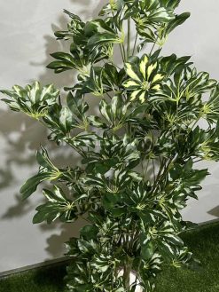 خرید درختچه مصنوعی شفلرا ابلق کدIRPSC213