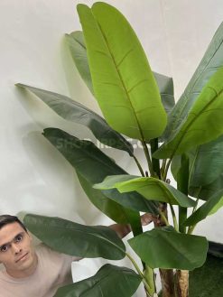 خرید درختچه مصنوعی موز 2.2 متری