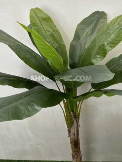 عکس درختچه مصنوعی موز 1.7 متری
