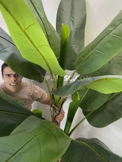 عکس درختچه مصنوعی موز 2.2 متری