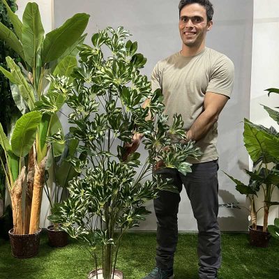 سفارش درختچه مصنوعی شفلرا ابلق کدIRPSC213