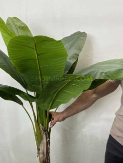 عرضه درختچه مصنوعی موز 1.7 متری