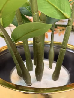 قیمت درختچه مصنوعی زامیفولیا 90 سانت