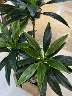 خرید درختچه مصنوعی دراسینا کدIRPSC223