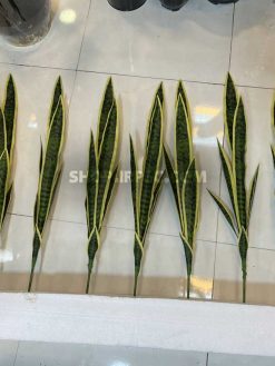 خرید شاخه گل مصنوعی سانسوریا ابلق کدIRPSC081