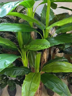 خرید درختچه مصنوعی موز کدIRPSC217