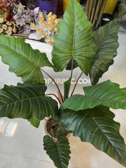 خرید درختچه مصنوعی آلوکازیا کدIRPSC234