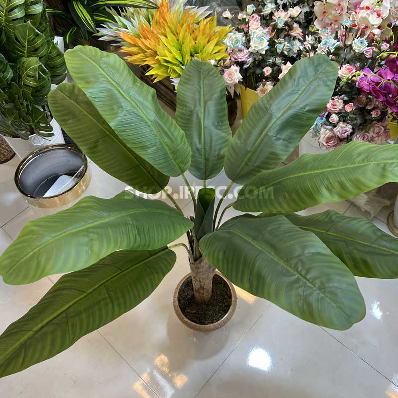 خرید درختچه مصنوعی موز کدIRPSC238