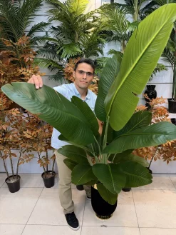 درختچه پرنده بهشتی مصنوعی 2 متری ارزان