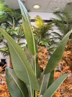 قیمت درختچه پرنده بهشتی مصنوعی 2 متری