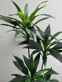 خرید درختچه مصنوعی دراسینا بلالی