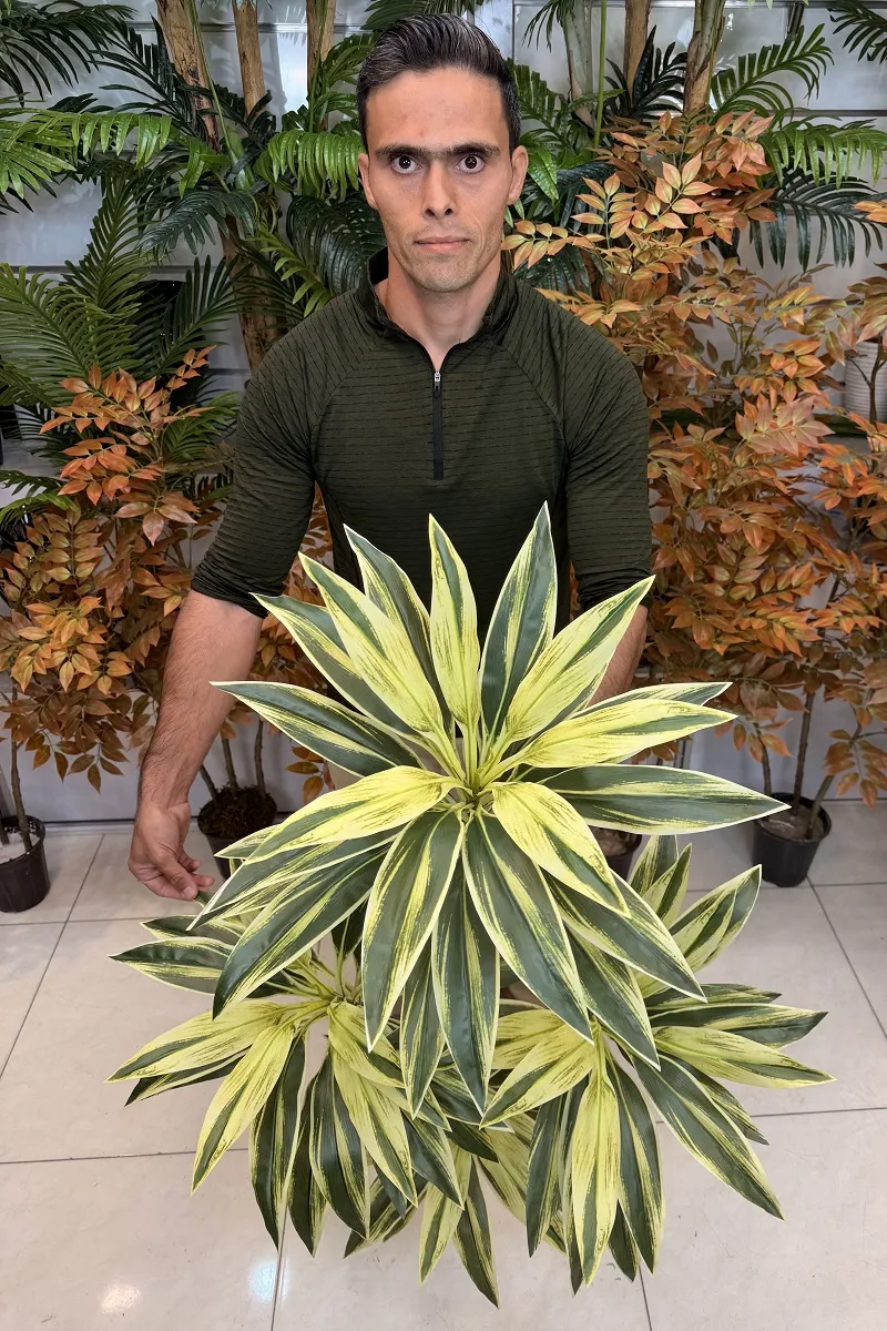 درختچه مصنوعی دراسینا ابلق ارزان