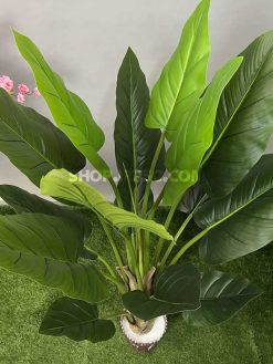 خرید درختچه مصنوعی آلوکازیا کدIRPSC241
