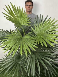 خرید درختچه مصنوعی نخل پالم 1.7 متری