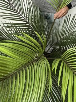 عکس درختچه مصنوعی نخل شامادورا 1.5 متری