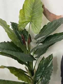 قیمت درختچه مصنوعی بابا آدم (آلوکازیا) 1.7 متری