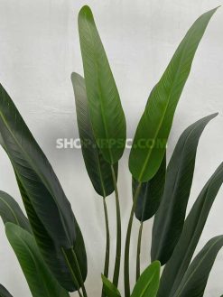 سفارش درختچه مصنوعی پرنده بهشتی 1.6 متری