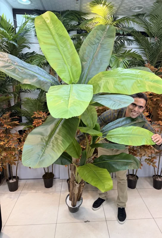 خرید درختچه مصنوعی موز