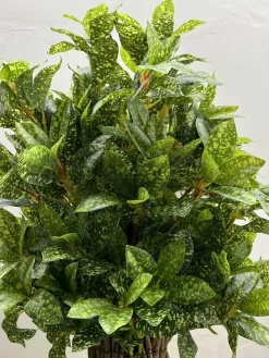 خرید درختچه مصنوعی آکوبا 1.3 متری