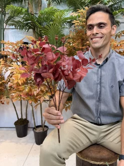 قیمت بوته مصنوعی اکالیپتوس