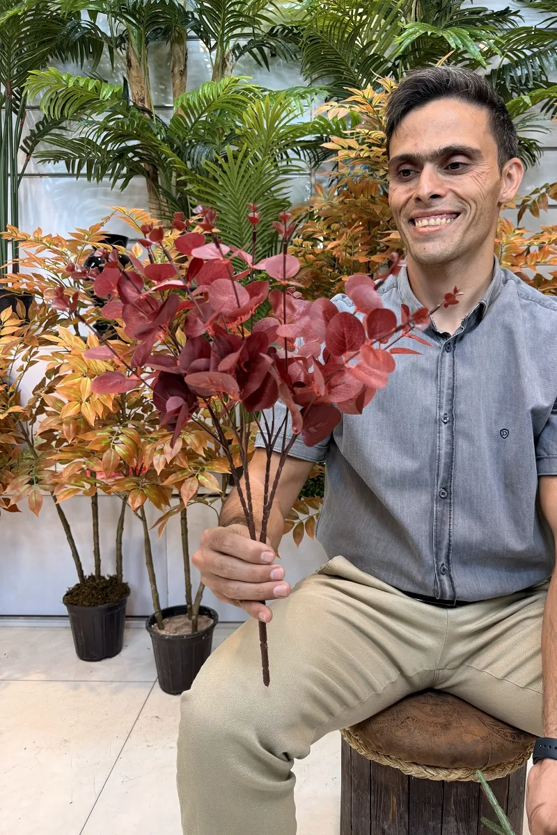 قیمت بوته مصنوعی اکالیپتوس