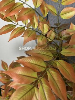 عکس درختچه مصنوعی اقاقیا پاییزی