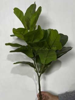 عکس شاخه برگ مصنوعی فیکوس لیراتا 80 سانتی