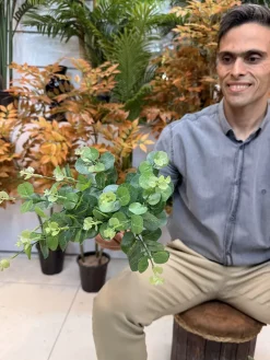 خرید بوته مصنوعی اکالیپتوس 45 سانتی