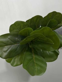 عرضه شاخه برگ مصنوعی فیکوس لیراتا