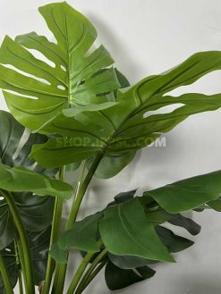 عکس درختچه مصنوعی برگ انجیری 1.5 متری