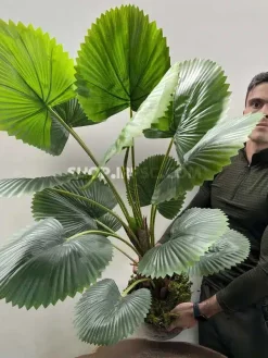 قیمت درختچه مصنوعی نخل بادبزنی 1.2 متری