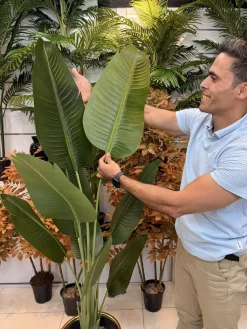 درختچه مصنوعی پرنده بهشتی ارزان