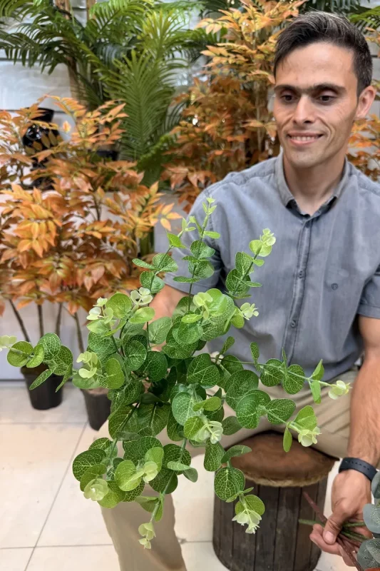 رنگبندی بوته مصنوعی اکالیپتوس 45 سانتی