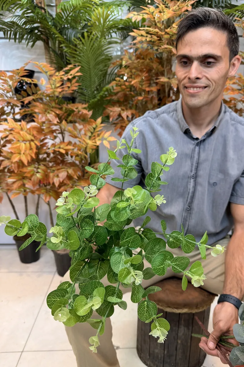 رنگبندی بوته مصنوعی اکالیپتوس 45 سانتی