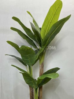 درختچه مصنوعی موز