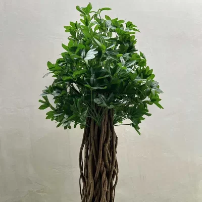 فروش درختچه مصنوعی شفلرا