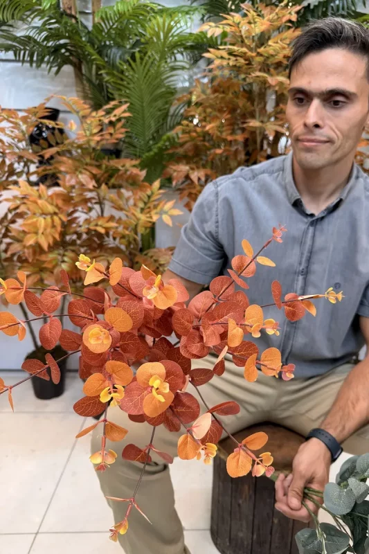 بوته مصنوعی اکالیپتوس ارزان