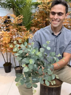 عکس بوته مصنوعی اکالیپتوس 45 سانتی