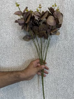 رنگبندی بوته مصنوعی اکالیپتوس