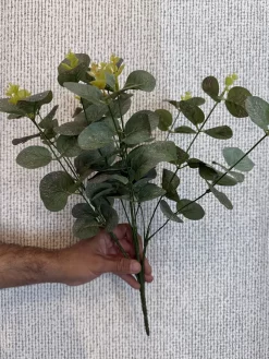 پخش بوته مصنوعی اکالیپتوس