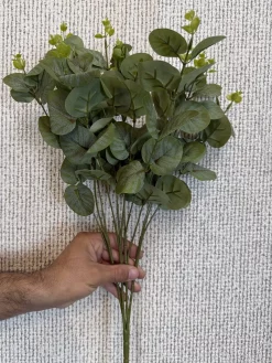 انواع بوته مصنوعی اکالیپتوس