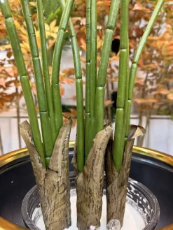 درختچه مصنوعی پرنده بهشتی 1.2 متری ارزان