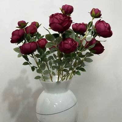 برای عید چه گلی بخریم؟