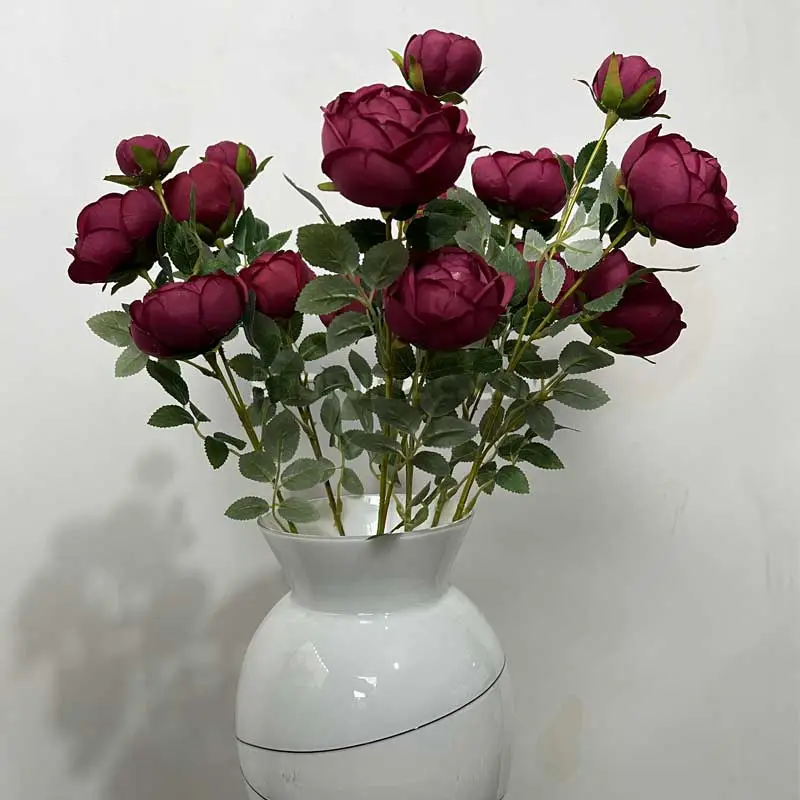 برای عید چه گلی بخریم؟