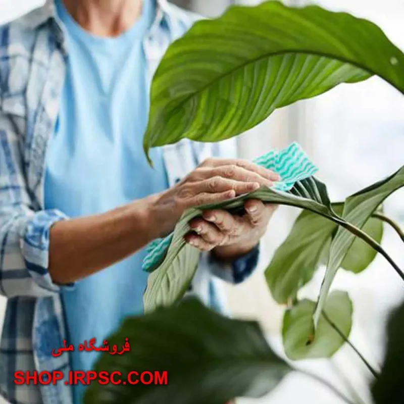 نگهداری از درختچه مصنوعی