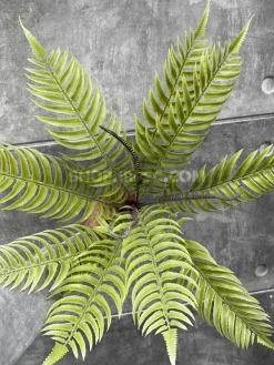 خرید بوته مصنوعی سرخس فسفری