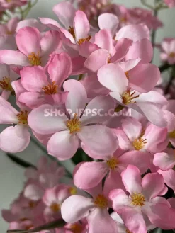 عکس شاخه گل یاس مصنوعی