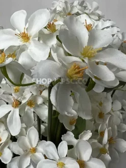 عکس شاخه گل یاس مصنوعی سفید