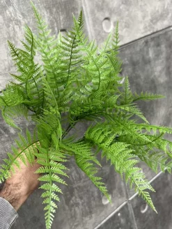 خرید بوته مصنوعی شویدی سبز